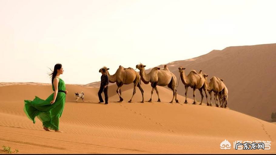 你们知道最火的歌曲是什么歌曲？