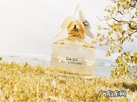 有哪些好闻的淡香水?