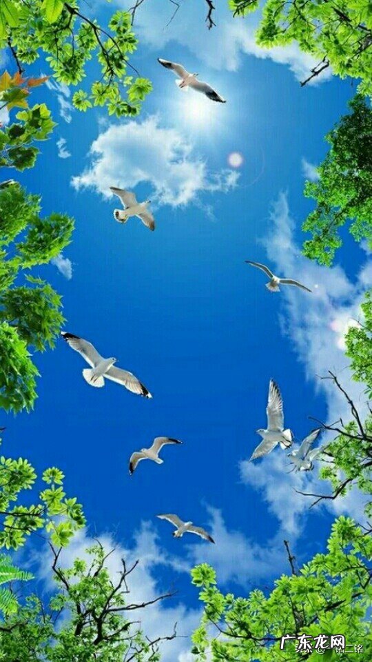 你看过最美的天空是什么样的?晒几张吧?