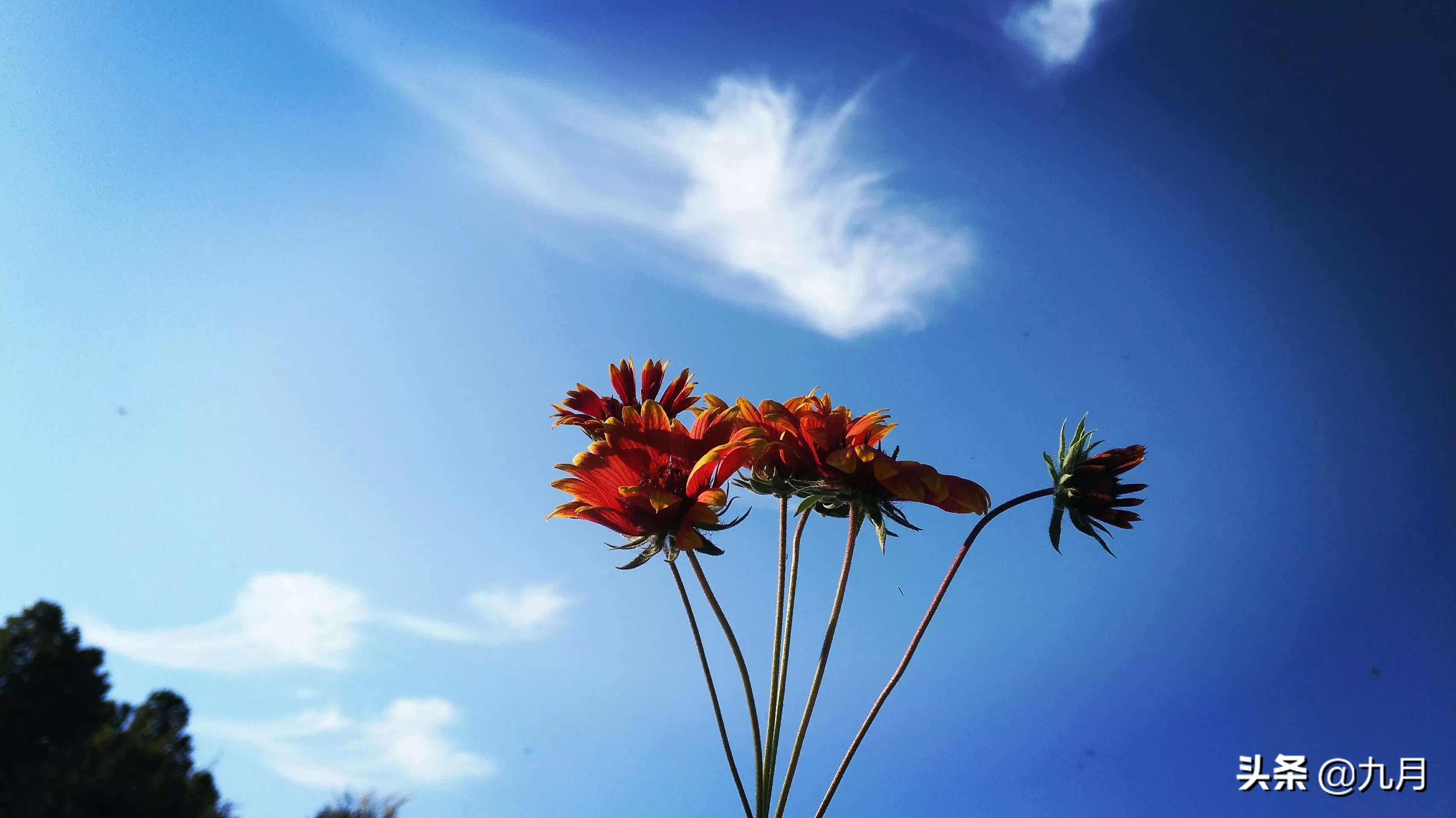 你看过最美的天空是什么样的?晒几张吧?