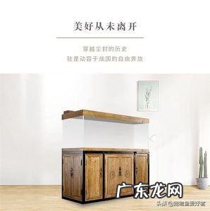 想在家里放鱼缸,如何选购鱼缸?