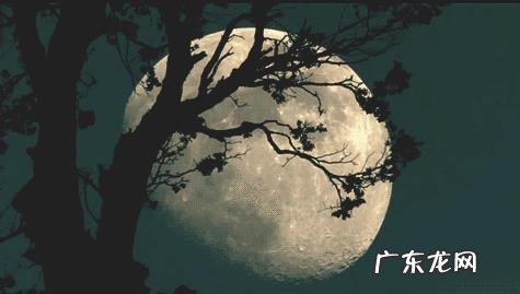 什么是六言绝句,有哪些名作?