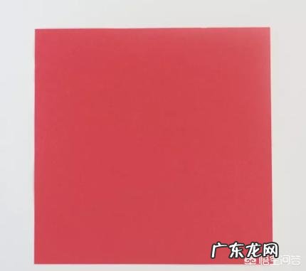 有哪些折玫瑰的教程?