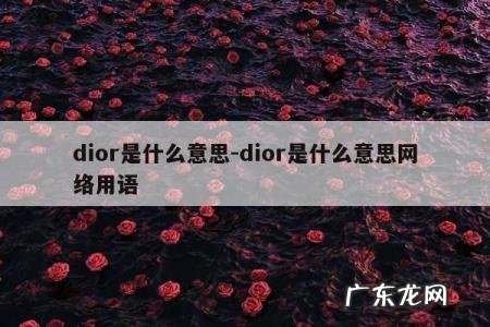 dior是什么意思-dior是什么意思网络用语