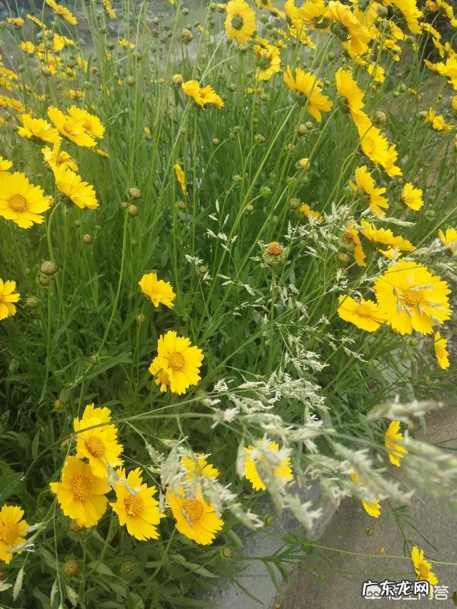 大家还记得自己第一次面试的经历吗?