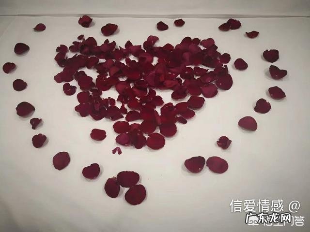 怎样才能成功挽回前任女友?