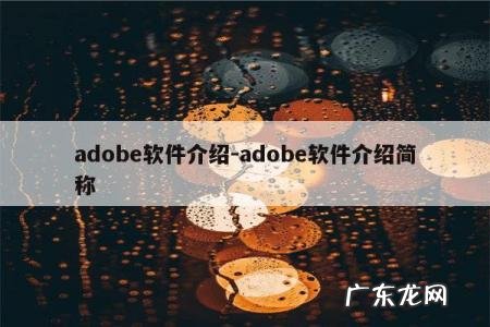 adobe软件介绍-adobe软件介绍简称