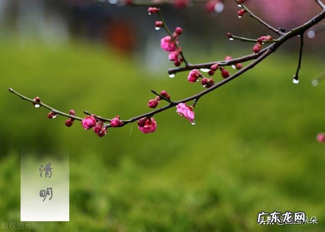 4月5日是清明节，你知道清明节的来历吗？