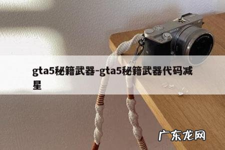 gta5秘籍武器-gta5秘籍武器代码减星