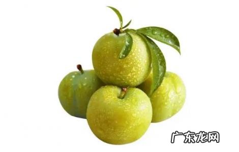 蜂糖李可以放冰箱冷藏吗「蜂糖李可以放几天」