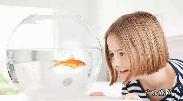 父母为0-3岁孩子跟风报早教课,真的起作用吗?