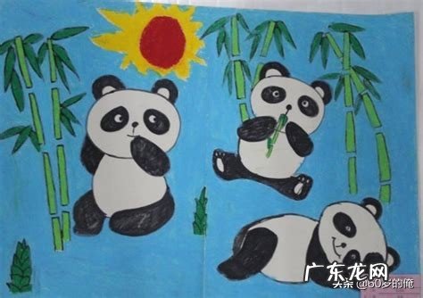 世界上最有人气的动物是什么?