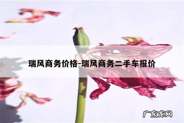 瑞风商务价格-瑞风商务二手车报价