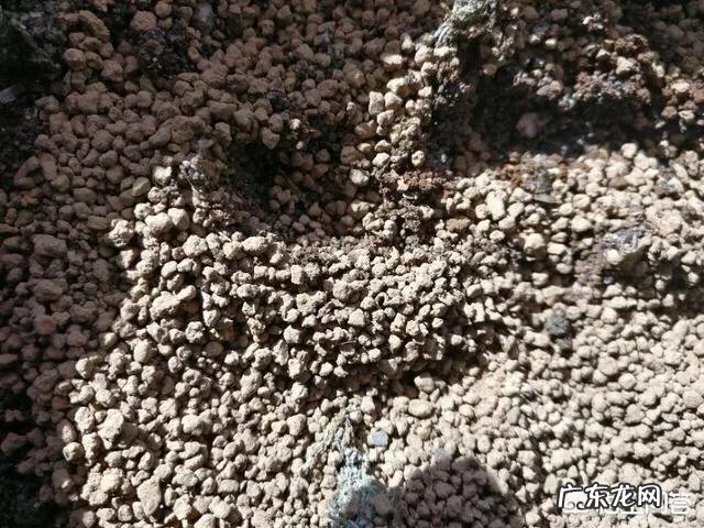 养多肉是买现成的土好还是自己配土好?