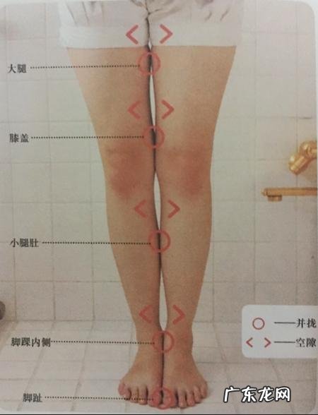 什么样的腿才算美腿,女孩怎样才能练就一双美腿?