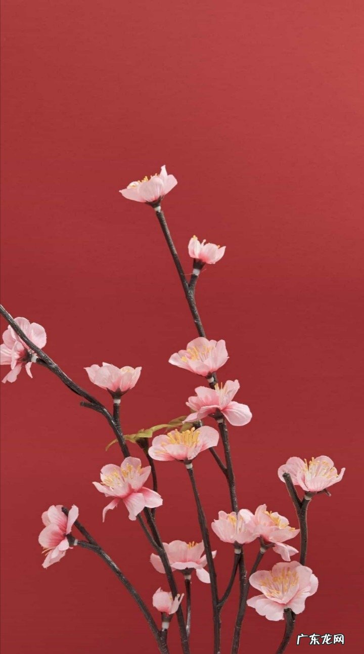 今天是腊八又逢大寒，农村有关腊八逢大寒的9种习俗，你了解吗？