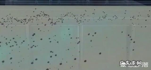 如何保护好汽车发动机?