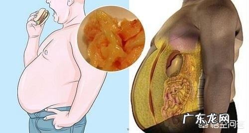 哪些方法可以瘦肚子呢?