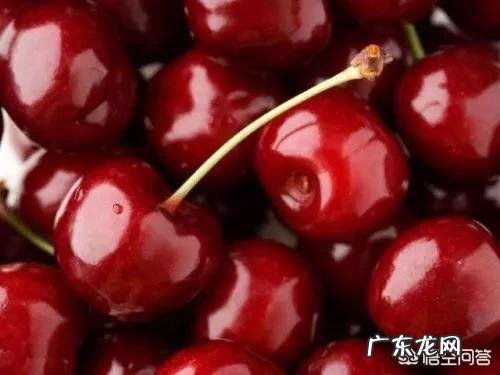 樱桃树栽前需要浸根吗？需要什么药液？