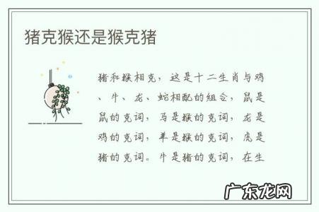 猪克猴还是猴克猪-猪和猴克不克