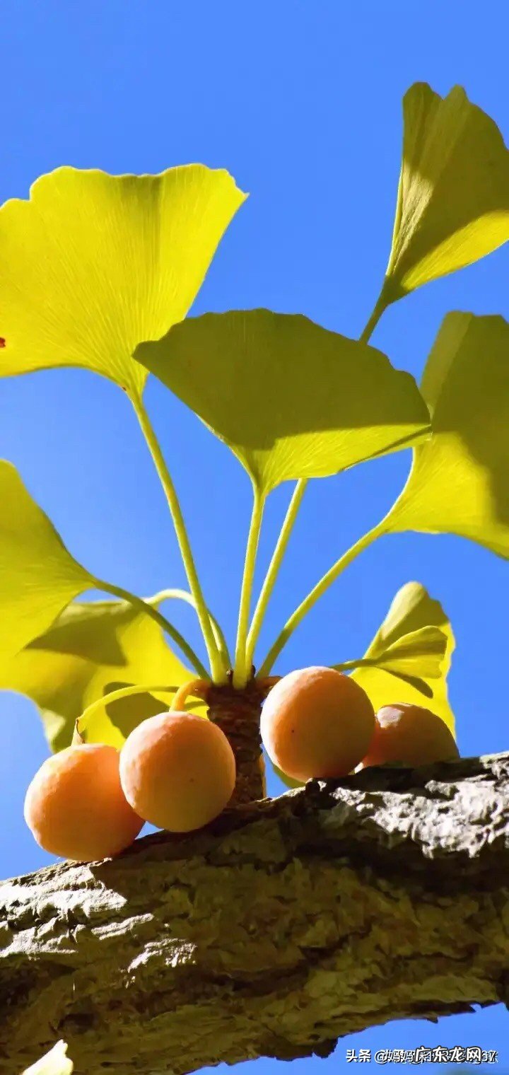 人与人的相处之道是什么?