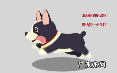 家里的狗狗为什么对着空气叫唤?