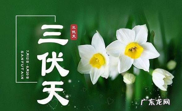 今年的“三伏”有多少天？三伏天应该注意些什么？