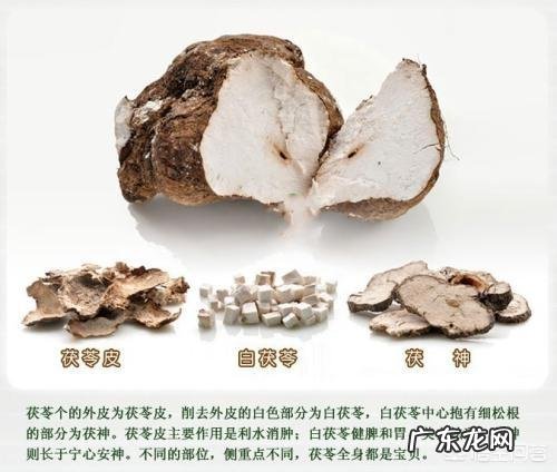 茯苓有什么功效?