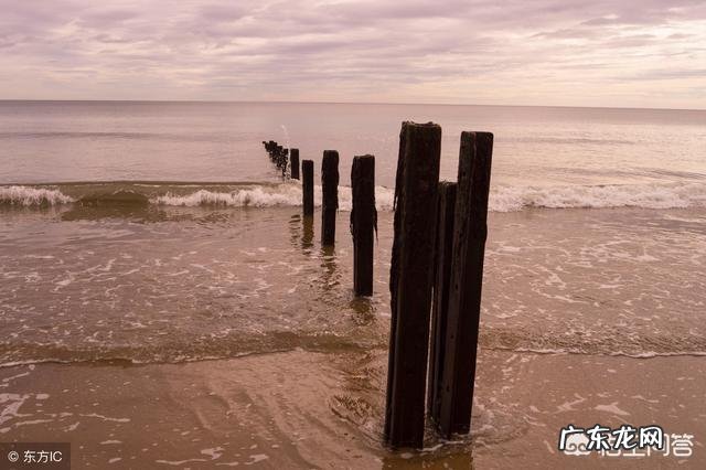 佛经中最有禅意的句子有哪些?