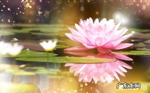 佛经中最有禅意的句子有哪些?