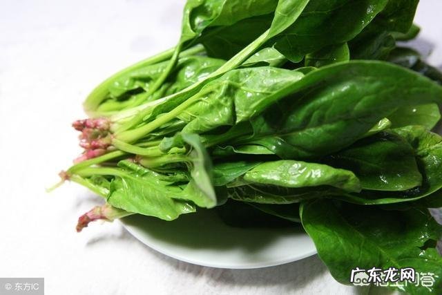 骨头汤并不补钙的话,哪些食物真的补钙?