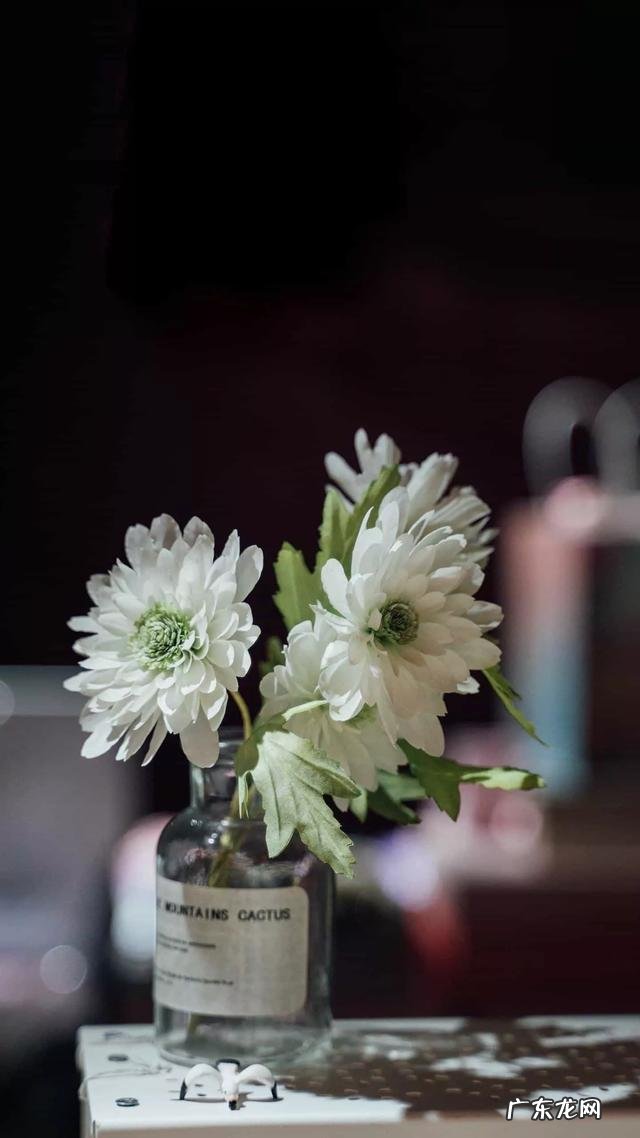 有哪些超赞的个性签名可分享?