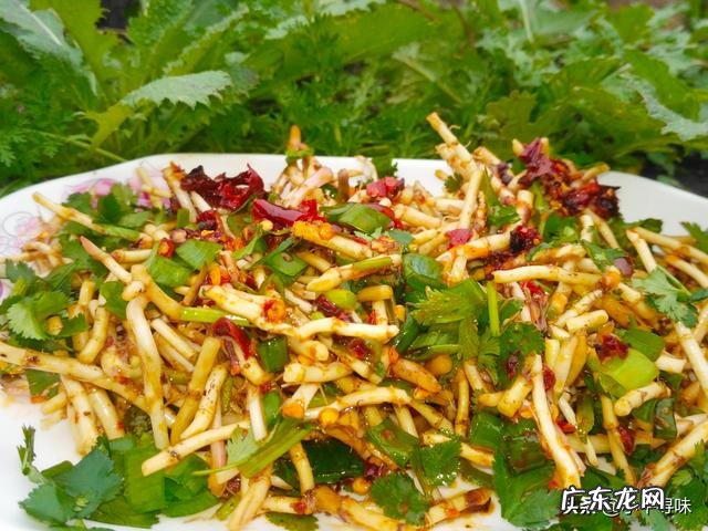 春天田野里的荠菜都老了不好吃了,还有什么野菜可以挖呢?