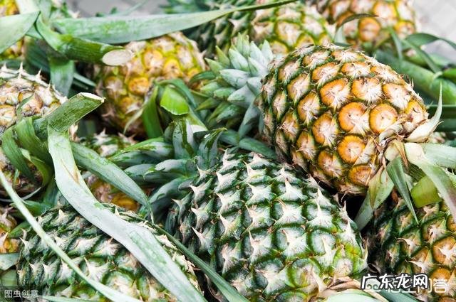 为什么吃菠萝要用盐水泡?