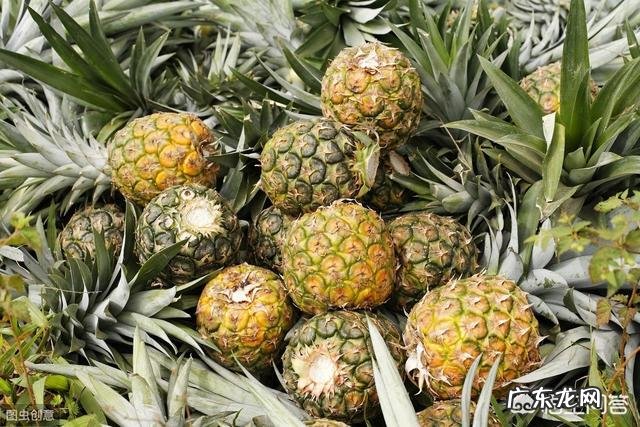 为什么吃菠萝要用盐水泡?