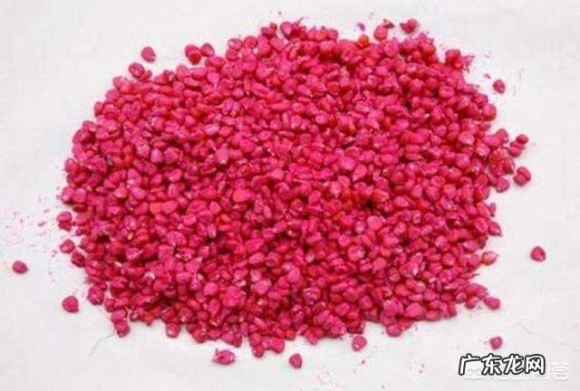 玉米地出现很多地老虎，怎么防治最有效？