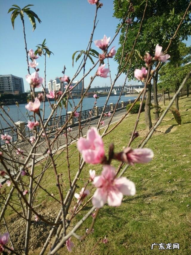 立春为什么不能出门?