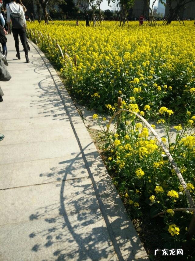 立春为什么不能出门?