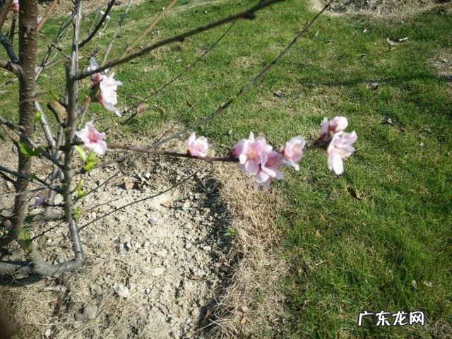 立春为什么不能出门?