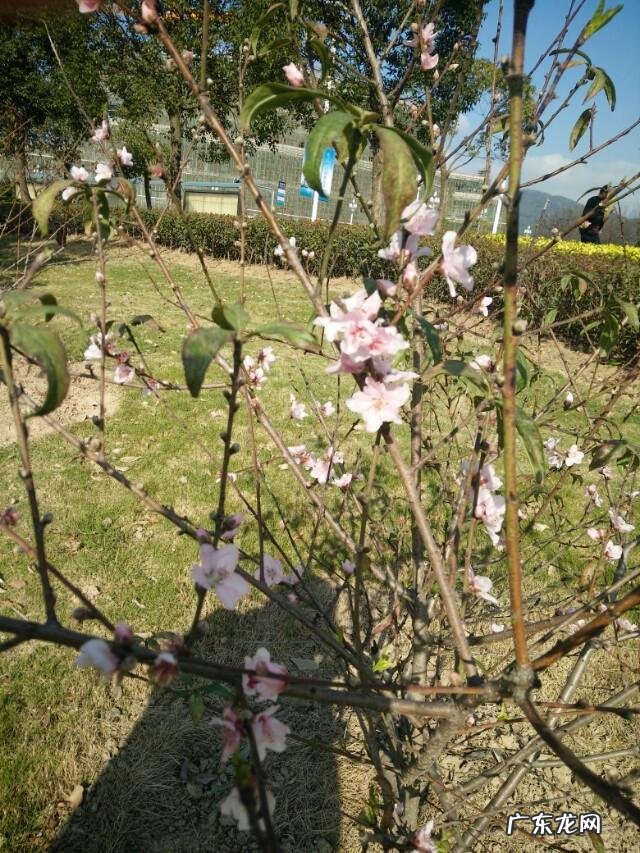 立春为什么不能出门?