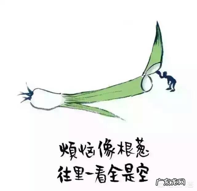 有哪些能噎死人的幽默句子?