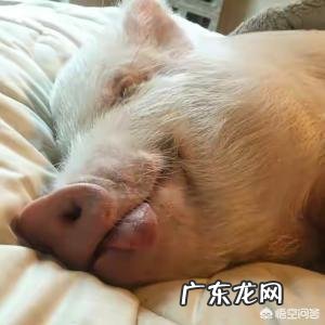 有哪些能噎死人的幽默句子?