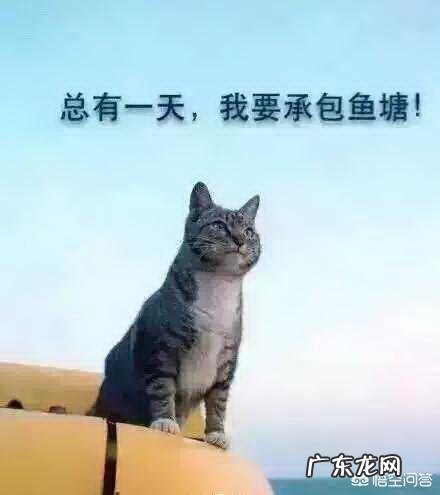 有哪些能噎死人的幽默句子?