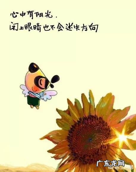 有哪些能噎死人的幽默句子?