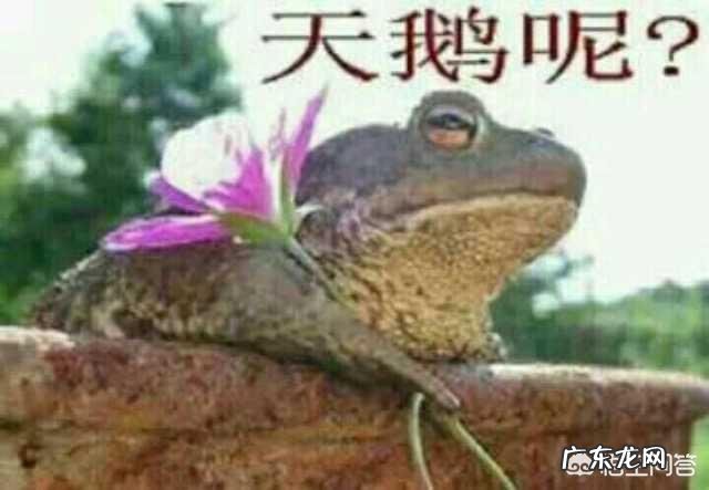 有哪些能噎死人的幽默句子?