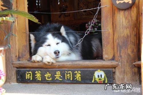 有哪些能噎死人的幽默句子?