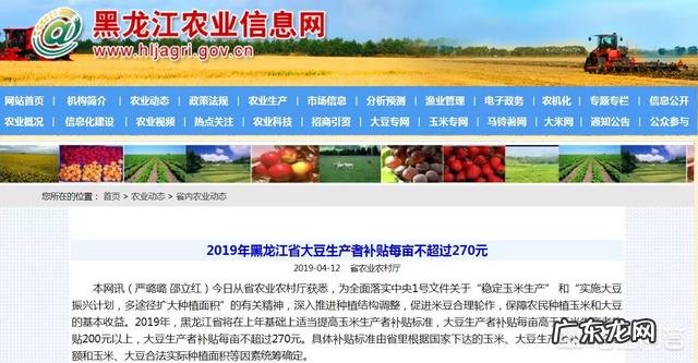黑龙江今年粮食补贴,玉米涨,大豆降,会不会又增加玉米种植面积?