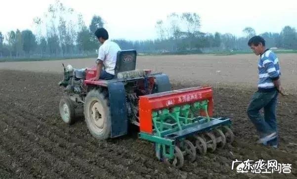 黑龙江今年粮食补贴,玉米涨,大豆降,会不会又增加玉米种植面积?