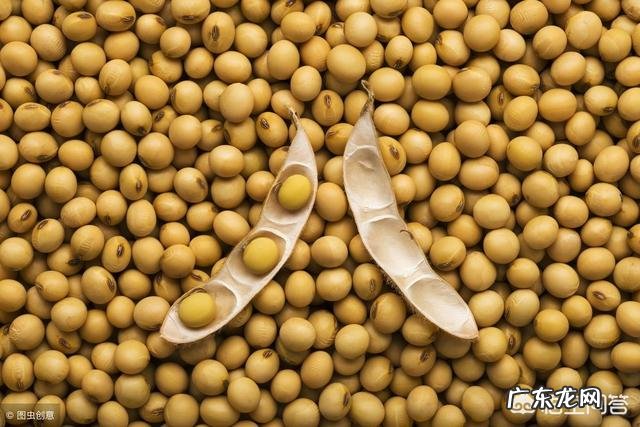 黑龙江今年粮食补贴,玉米涨,大豆降,会不会又增加玉米种植面积?