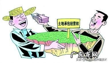 黑龙江今年粮食补贴,玉米涨,大豆降,会不会又增加玉米种植面积?